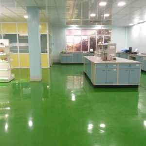 Self Leveling Epoxy Floor (2mm thick) After